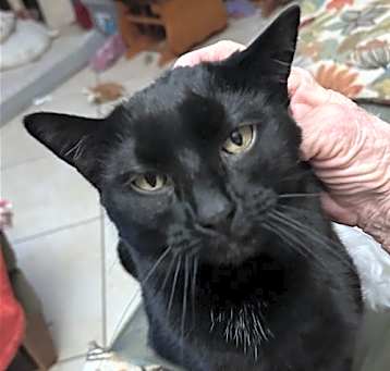 Photo of Jack