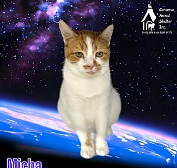 Photo of Micha