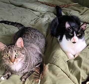 Photo of Ezekiel (Zeeke) and Tigger