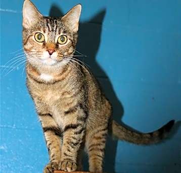 Photo of Sassy