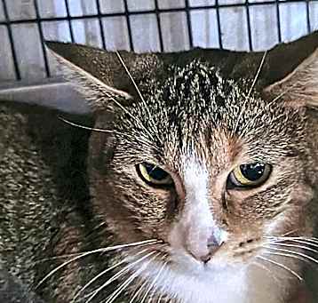 Photo of Missy