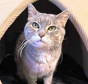 Photo of Jolene