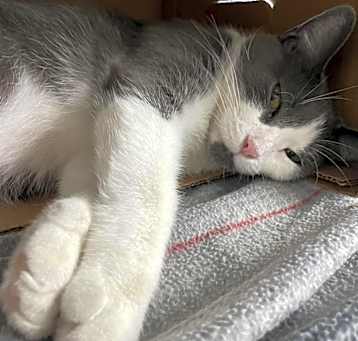 Photo of Abbie