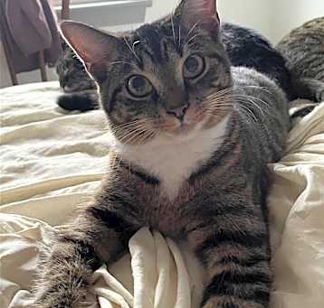Photo of Mr. Pibb
