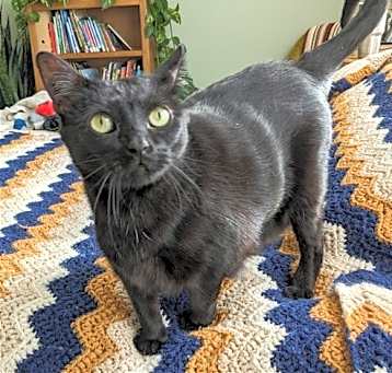 Photo of Moxi