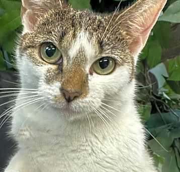 Photo of Ruthie
