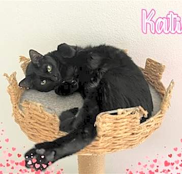 Photo of Katie