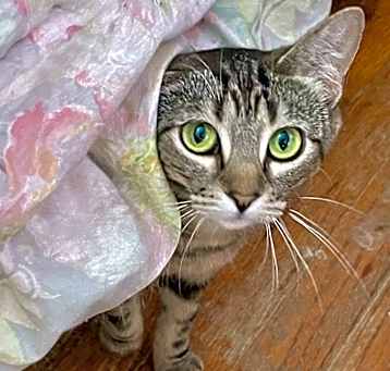 Photo of Jolyne