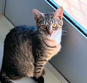 Photo of Ella