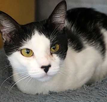 Photo of Mabel
