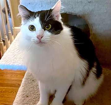 Photo of Emory