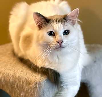 Photo of Teagan