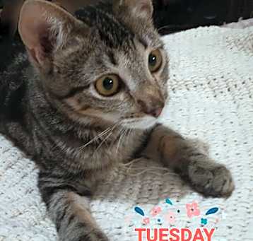 Photo of Tuesday!!