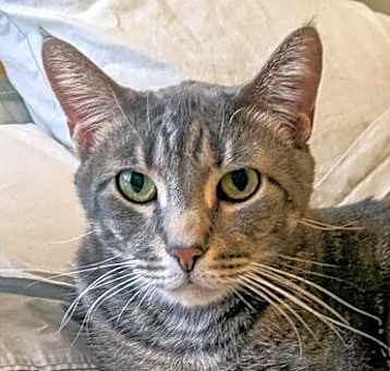 Photo of Rex