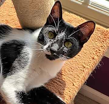 Photo of Hilda