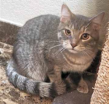 Photo of Pip