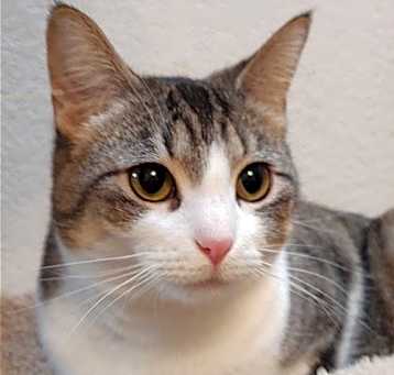 Photo of Hazel