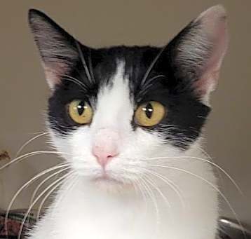 Photo of Missy