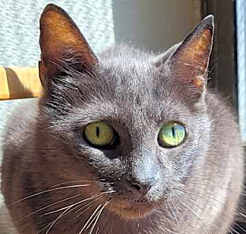 Photo of Cailyn