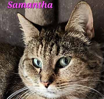 Photo of Samantha