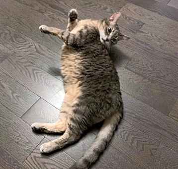 Photo of Miao Miao