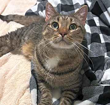 Photo of Buttercup