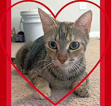 Photo of Barbara