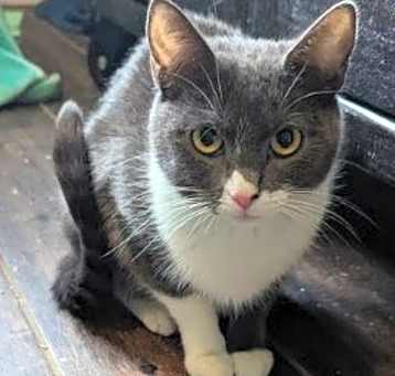 Photo of Dottie