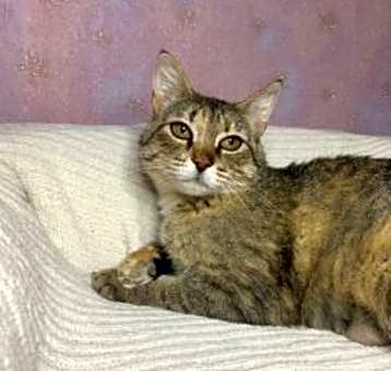 Photo of Quill
