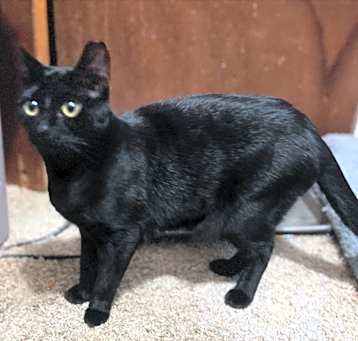 Photo of Winnie