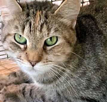 Photo of Winnie