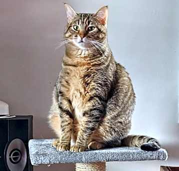 Photo of Juni