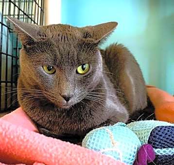 Photo of Hermes
