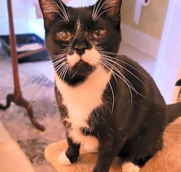 Photo of Minnie