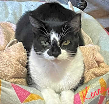 Photo of Kenna