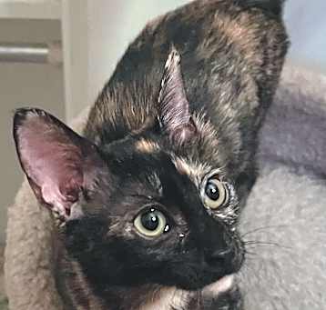 Photo of McKenzie