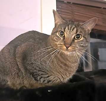 Photo of Fergus S