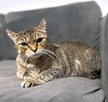 Photo of Miracle