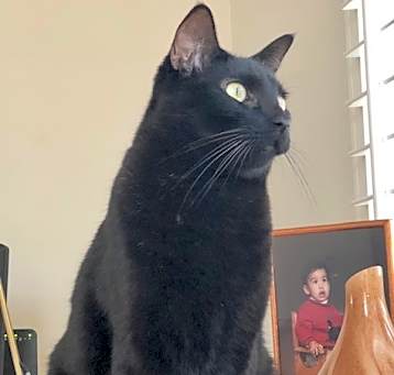 Photo of Luca
