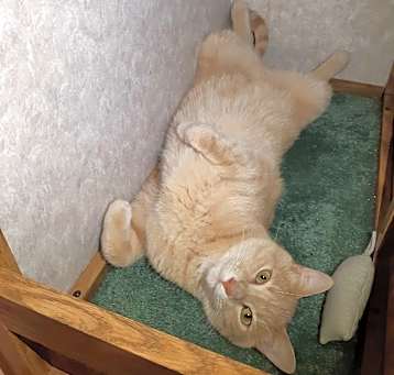 Photo of Charlie
