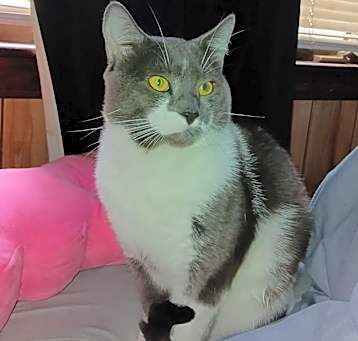 Photo of George