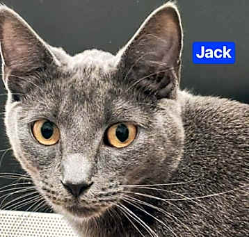 Photo of Jack