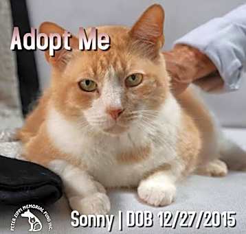 Photo of Sonny