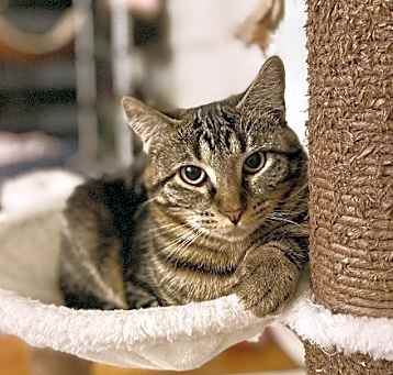 Photo of Freya