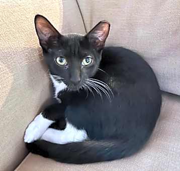 Photo of Javier