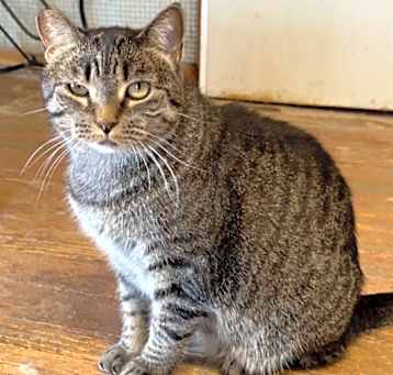 Photo of Maggie