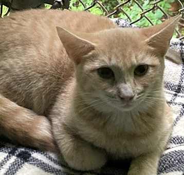 Photo of Jezra