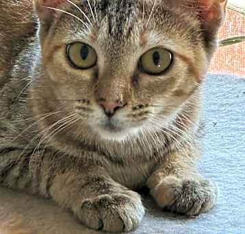 Photo of Sugar