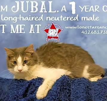 Photo of Jubal