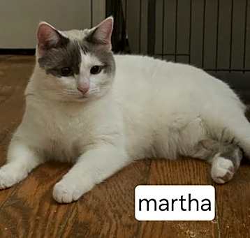 Photo of Martha